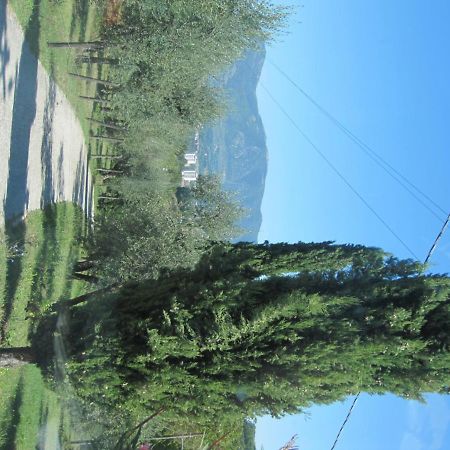 Valle Degli Ulivi Appartamento Terni Eksteriør billede