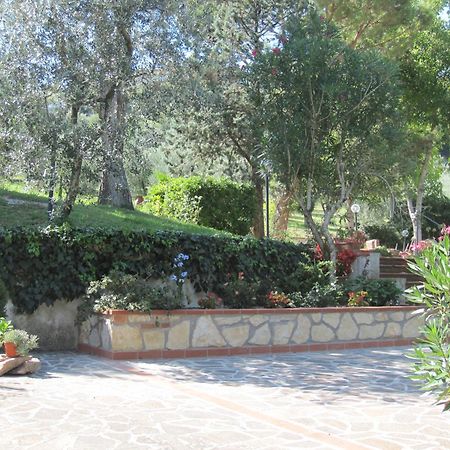 Valle Degli Ulivi Appartamento Terni Eksteriør billede