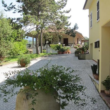 Valle Degli Ulivi Appartamento Terni Eksteriør billede