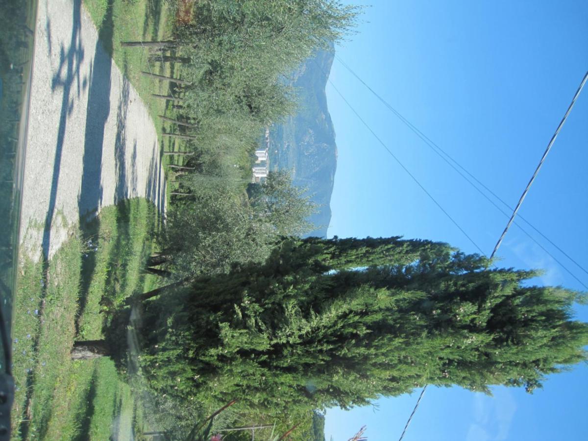 Valle Degli Ulivi Appartamento Terni Eksteriør billede
