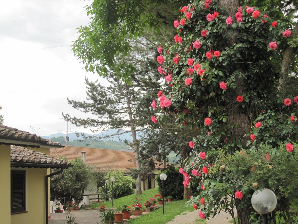Valle Degli Ulivi Appartamento Terni Eksteriør billede